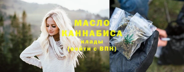 первитин Новодвинск