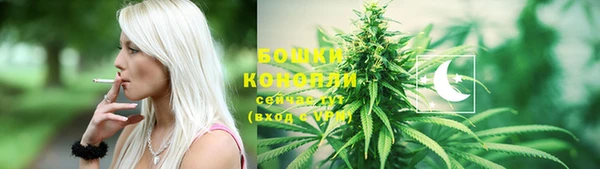 PSILOCYBIN Новозыбков