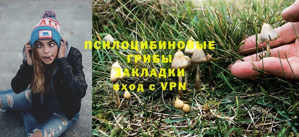 PSILOCYBIN Новозыбков