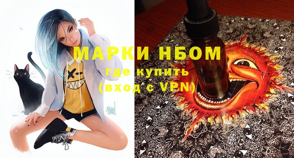 PSILOCYBIN Новозыбков