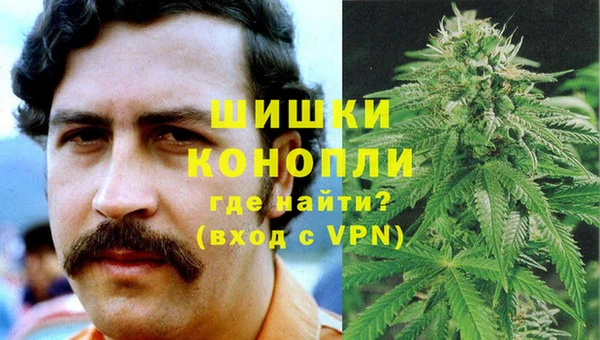 PSILOCYBIN Новозыбков
