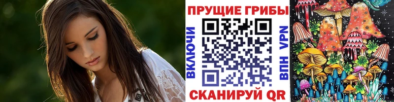 наркота  Тетюши  сайты даркнета телеграм  Галлюциногенные грибы Psilocybine cubensis 
