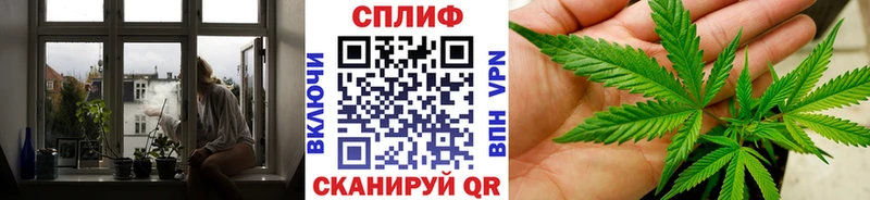 магазин    hydra как войти  Бошки Шишки семена  Тетюши 